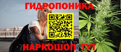 скорость Гусев