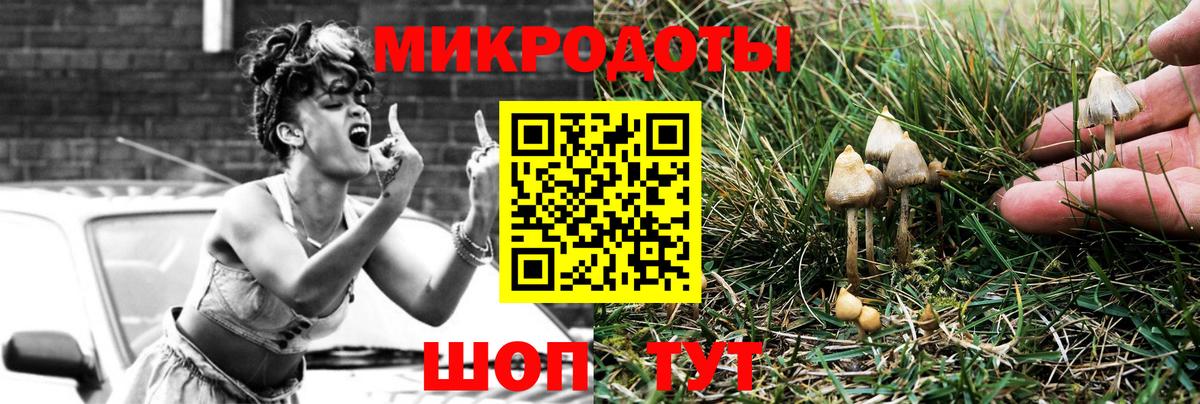 Галлюциногенные грибы Psilocybine cubensis Кириши