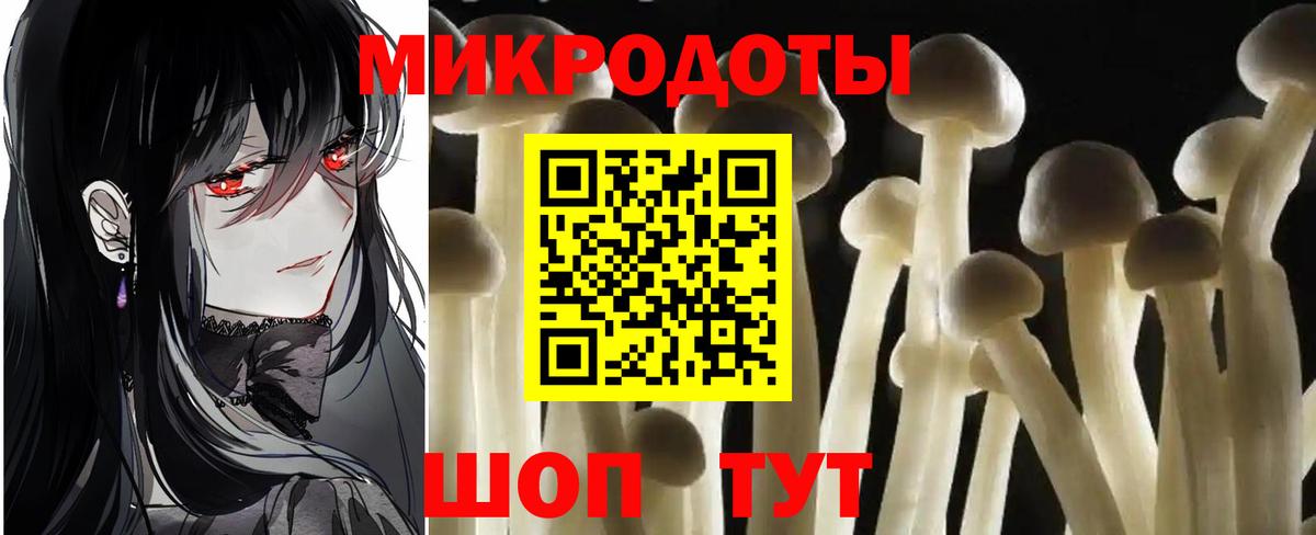 Псилоцибиновые грибы Psilocybine cubensis  Вход с VPN  Кириши 